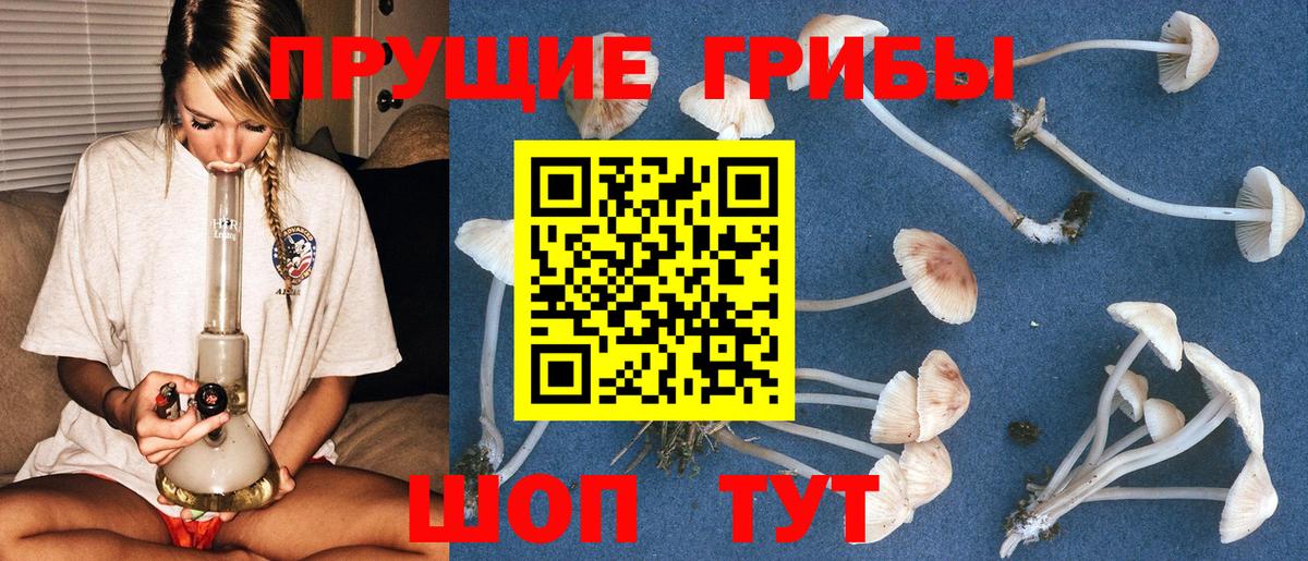 Галлюциногенные грибы Magic Shrooms Ноябрьск