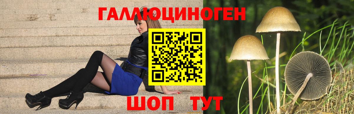 Ноябрьск  закладки  Вход с VPN  Псилоцибиновые грибы Magic Shrooms 